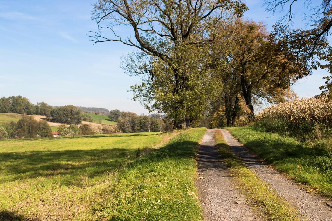 Villa Bawaria Cieszyn  Buitenkant foto